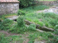 Ampliar