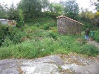 Ampliar